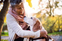 Une maîtresse âgée caressant son gros chien