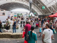 Adopter un chien dans un marché ou une exposition