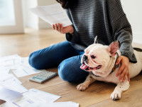 Une femme en train d'éplucher des factures avec son bouledogue à ses côtés