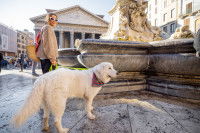Une jeune femme et son chien près du Panthéon à Rome, en Italie