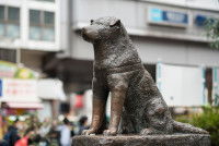 Statue du célèbre chien japonais Hachiko