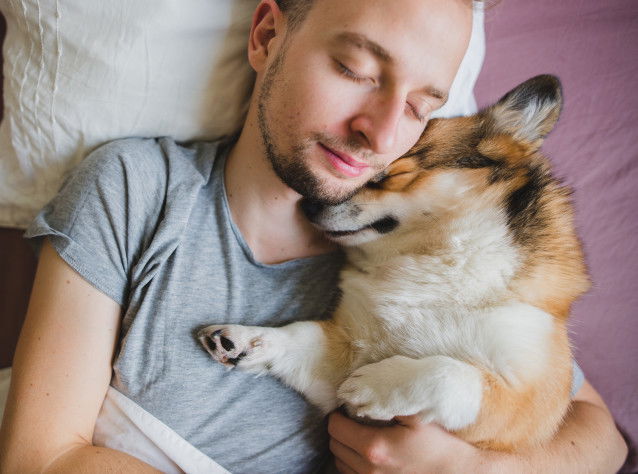 Un chien affectueux