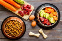 Des gamelles contenant des croquettes, de la viande et des légumes