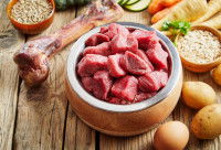 Une gamelle pour chien contenant de la viande crue