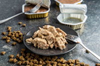 De la pâtée pour chien dans une assiette