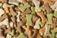 Des biscuits pour chien en forme d'os de différentes couleurs