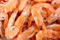 Un tas de crevettes non décortiquées
