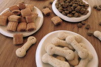 Différents types de friandises pour chien