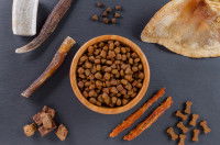 Différents types de friandises pour chien