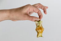 Une main tient un trognon de pomme