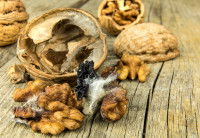 Des noix en partie moisies