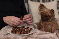 Une femme mange des châtaignes à côté d'un petit chien