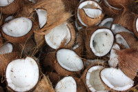 Un tas de noix de coco ouvertes