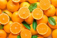 Un tas d'oranges entières et découpées