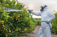 Un homme en combinaison arrose ses arbres fruitiers avec des pesticides