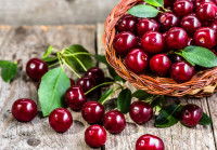 Un panier d'oseille rempli de cerises