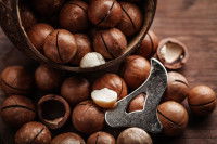 Des noix de macadamia posées entières sur une table