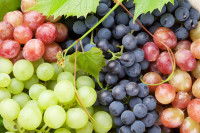 Différentes variétés de raisins en grappe