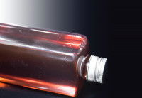 Choisir une huile de saumon pour son chien