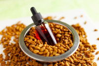 Comment donner de l'huile de saumon à son chien ?