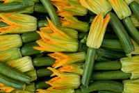 Un tas de courgettes avec leur fleur orangée