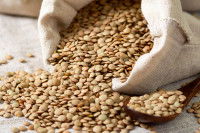 Un sac contenant une grande quantité de lentilles sèches