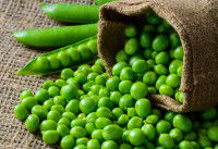 Un sac contenant une grande quantité de petits pois