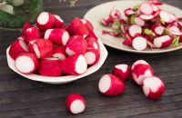 Quelle quantité de radis donner à un chien ?