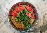 Une gamelle de chien contenant de la viande et des haricots verts