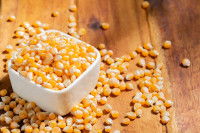 Quelle quantité de maïs donner à un chien ?