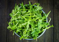 Quelle quantité de salade donner à un chien ?