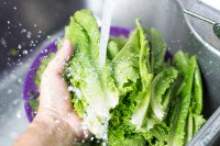 Un homme rince de la salade avec de l'eau du robinet
