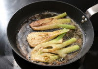 Sous quelle forme donner du fenouil à un chien ?