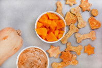Des friandises pour chien avec des morceaux de butternut