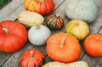 Diff&eacute;rentes sortes de courges pos&eacute;es sur une table