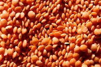 Des lentilles corail