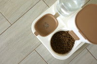 Un distributeur de croquettes pour chien