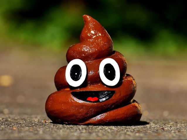 L'odeur des excréments et de l'urine