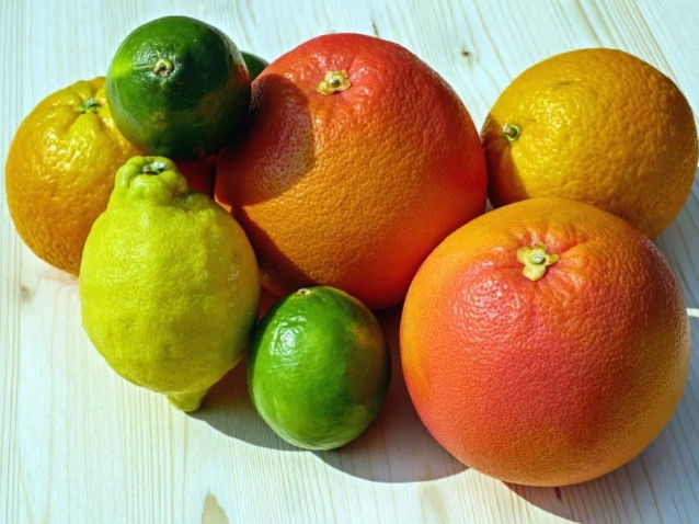 Les agrumes