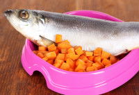 Un poisson entier dans une gamelle avec des carottes
