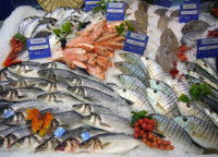 Toutes sortes de poissons sur un étal