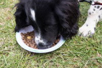 Une moins bonne conservation