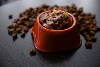 Une gamelle contenant de la pâtée pour chien, avec des croquettes à côté