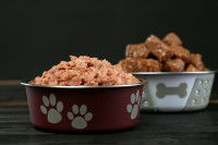 Deux gamelles pour chien remplies de pâtées
