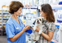 Une vétérinaire conseillant de la nourriture à une propriétaire de Shih Tzu
