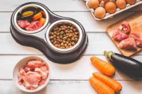 Des croquettes, des morceaux de viande et des légumes