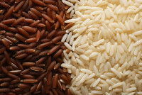 Du riz blanc et du riz brun