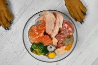 Les aliments sources de vitamines pour le chien