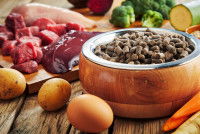 Différents types d'aliments pour chien (BARF, croquettes...)