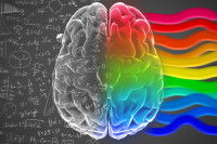 Pourquoi y a-t-il des droitiers et des gauchers ?